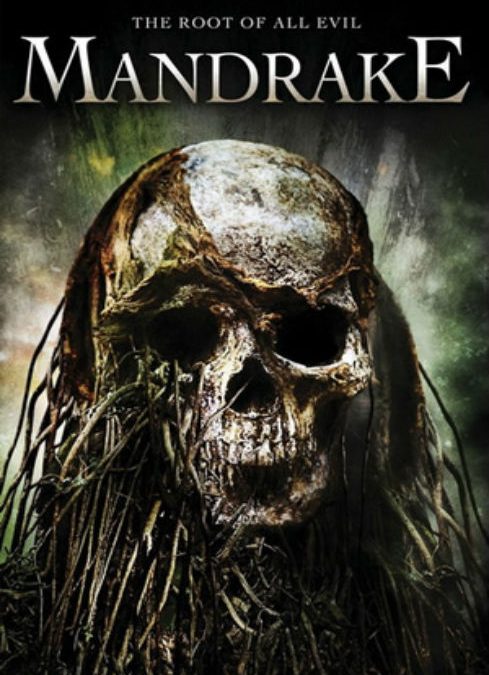 MANDRAGORE