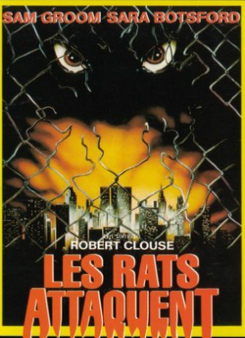 LES RATS ATTAQUENT
