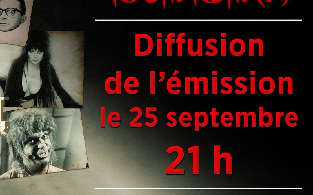 LE NOUVEAU VISAGE DE FRISSONS TV – ANIMATEUR RECHERCHÉ